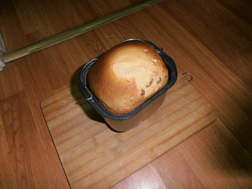 04.jpg