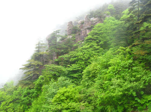 07.jpg
