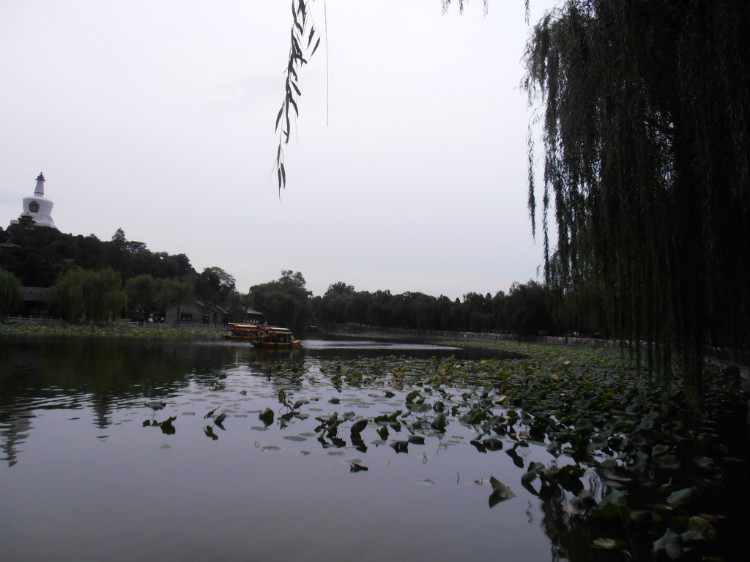04.jpg