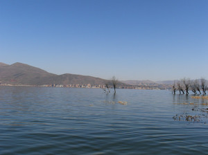 03.jpg