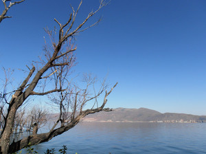06.jpg