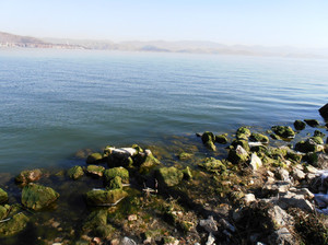 07.jpg