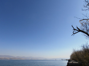 08.jpg